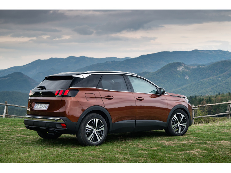 Chromleiste f&uuml;r die untere Fensterkontur Peugeot 3008 II (16-20)