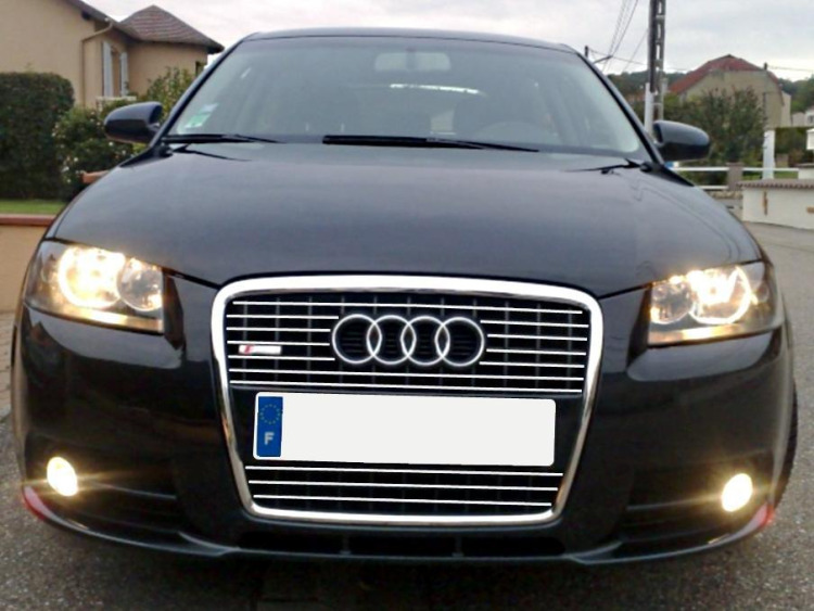 Chromleiste f&uuml;r K&uuml;hlergrill Audi A3 s&eacute;rie 2 03-08 & Audi A3 S&eacute;rie 2 Sportback 04-08 v1