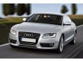 Chromleiste f&uuml;r K&uuml;hlergrill Audi A5 Cabriolet 09-11 Audi A5 Coup&eacute; 07-11 Audi A5 Sportback 09-11