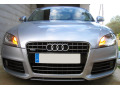 Chromleiste f&uuml;r K&uuml;hlergrill Audi TT S&eacute;rie 2 06-14 Audi TT RS Audi TTS