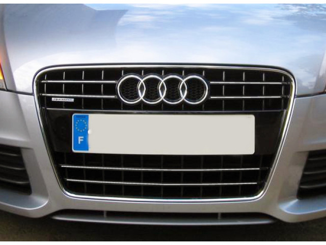 Chromleiste für Kühlergrill Audi TT Série 2 0614 Audi TT RS Audi TTS