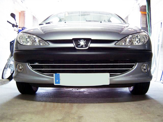 Chromleiste für Kühlergrill Peugeot 206 Peugeot 206 CC Peugeot 206 SW Wabenförmig