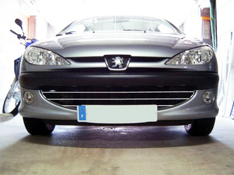 Chromleiste f&uuml;r K&uuml;hlergrill Peugeot 206 Peugeot 206 CC Peugeot 206 SW Wabenf&ouml;rmig