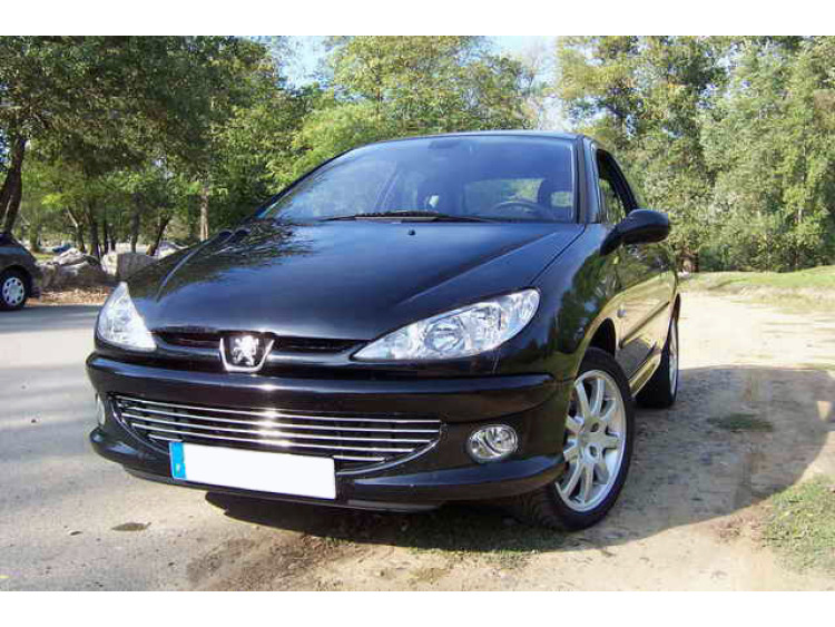 Chromleiste f&uuml;r K&uuml;hlergrill Peugeot 206 Peugeot 206 CC Peugeot 206 SW