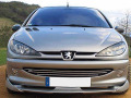 Chromleiste f&uuml;r K&uuml;hlergrill Peugeot 206 Peugeot 206 CC Peugeot 206 SW
