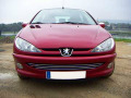 Chromleiste f&uuml;r K&uuml;hlergrill Peugeot 206 Peugeot 206 CC Peugeot 206 SW