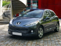 Chromleiste f&uuml;r K&uuml;hlergrill Peugeot 207 06-12 Peugeot 207 CC 07-15 Peugeot 207 SW 07-13