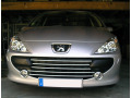 Chromleiste f&uuml;r K&uuml;hlergrill Peugeot 307 05-09 Peugeot 307 CC 05-09 Peugeot 307 SW 05-09