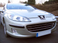 Chromleiste f&uuml;r K&uuml;hlergrill Peugeot 407 & Peugeot 407 SW horizontal