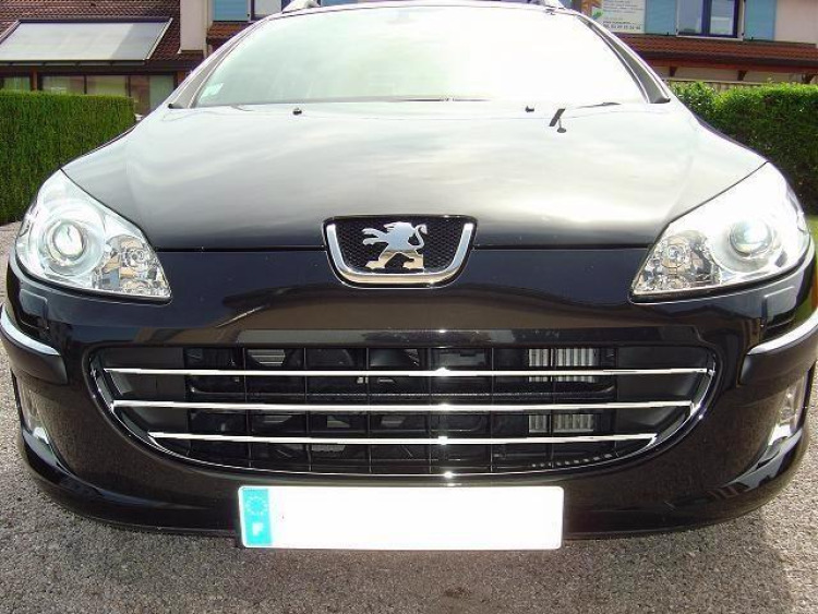 Chromleiste f&uuml;r K&uuml;hlergrill Peugeot 407 & Peugeot 407 SW horizontal