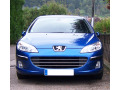 Chromleiste f&uuml;r K&uuml;hlergrill Peugeot 407 & Peugeot 407 SW horizontal