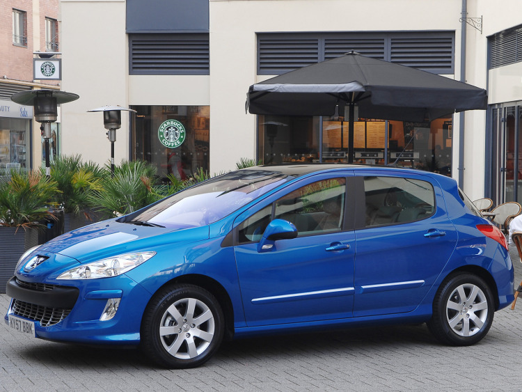 Seitenschutz-Chromzierleiste Peugeot 308 07-13