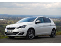 Zier-Chromleiste f&uuml;r K&uuml;hlergrill-Unterteil Peugeot 308 II 13-21 & Peugeot 308 II SW 14-21