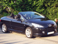 Zier-Chromleiste f&uuml;r seitliche Autofensterkonturen Peugeot 307 01-05 & Peugeot 307 CC 01-05