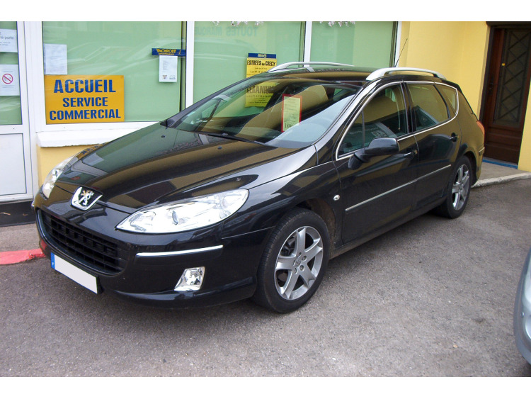 Zier-Chromleiste f&uuml;r seitliche Autofensterkonturen Peugeot 407 SW