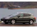 Zier-Chromleiste f&uuml;r seitliche Autofensterkonturen Peugeot 407 SW